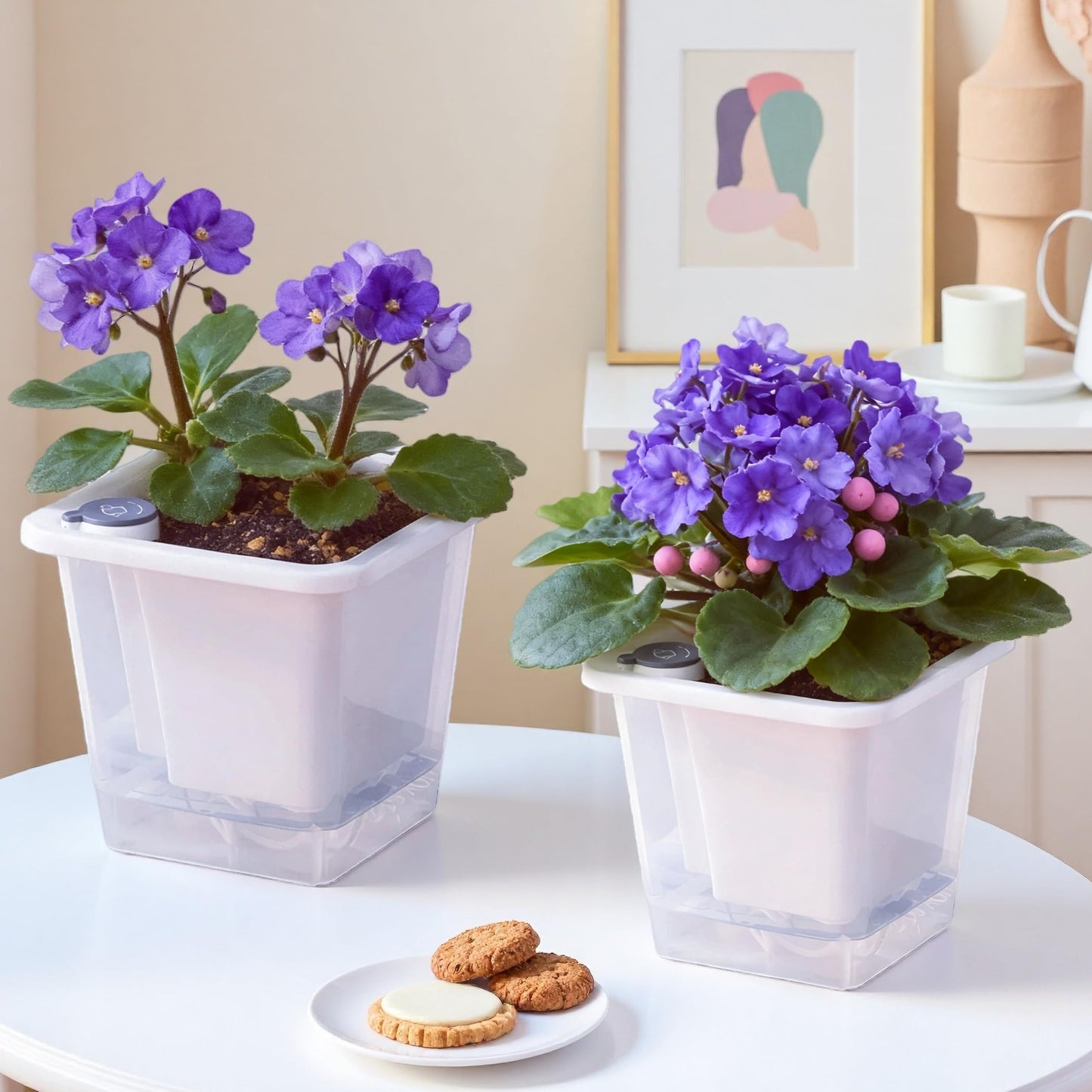 FAMZ Self Watering Pots for Indoor Plants 3 Pack，Clear Plant Pots with Drainage for African Violet、 Orchid、Succulent Plants Square Plant Pots（White 5.12"）