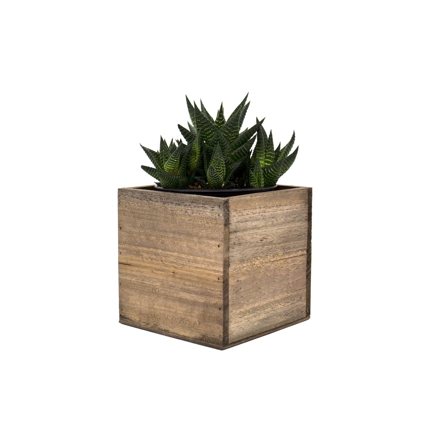 CYS EXCEL Cube Planter Box with Removable Plastic Liner (5"x5"x5")(4 PCS) | Multiple Size Choices Wood Square Planter | Indoor Decorative Window Box