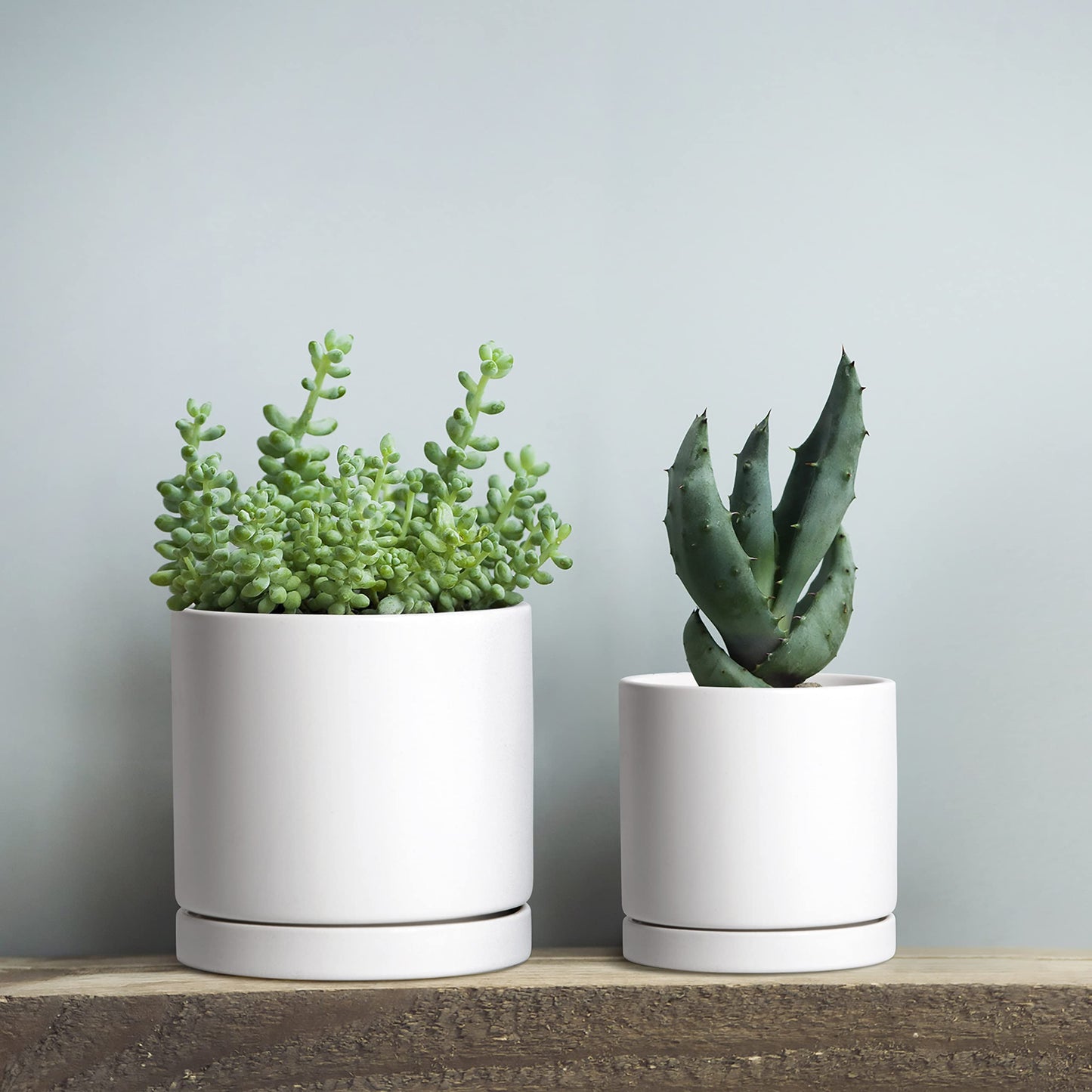 D'vine Dev White Terracotta Pots for Plants, 4.2 Inch 5.3 Inch 6.5 Inch, Succulent Planter Pot with Drainage and Saucer, 40-T-A-1