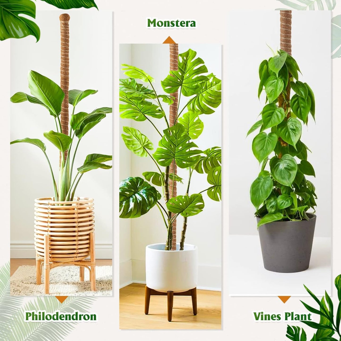 3 Pack Bendable Moss Pole 28" 48" 63" Monstera Plant Support Stakes for Climbing Indoor Plants -Tall Coir Plant Pole Sticks Support Stakes for Potted Plant, Pothos, Philodendron Houseplants