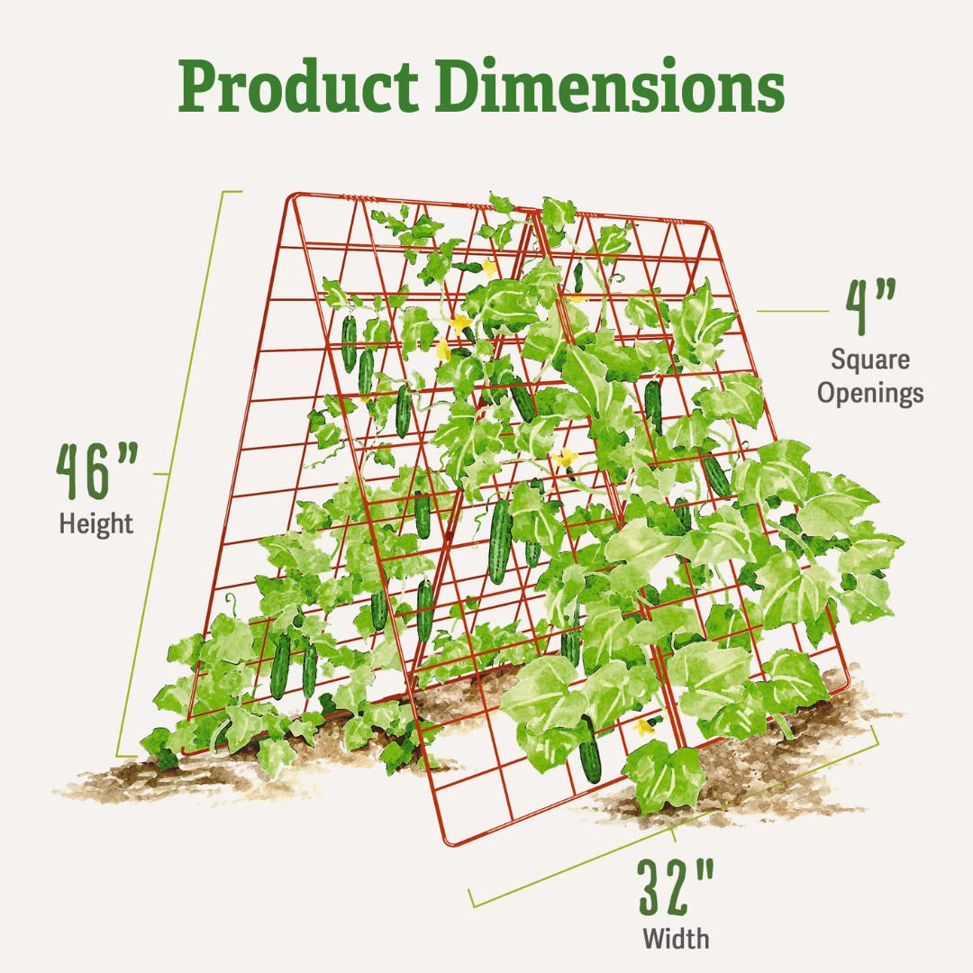Gardener's Supply Company Deluxe Cucumber Trellis (Green) | Powder Coated Steel Vegetable Support - 32” W x 46” H