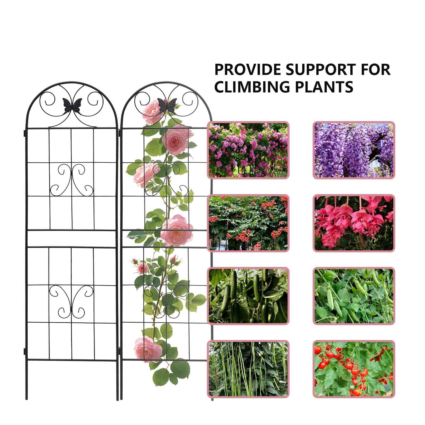 2 Pack Garden Trellis for Climbing Plants 86.7'' x 19.7''，Black Metal Garden Trellis，Heavy Duty Rustproof Plant Trellis for Rose Vine Vegetable