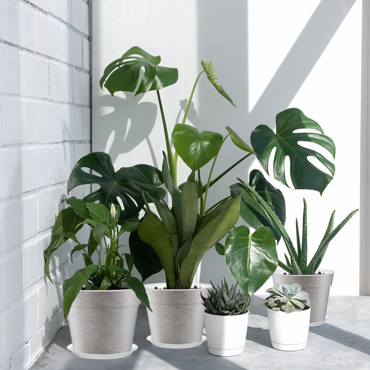Baderke 3 Pack Clear Nursery Pot Plastic Nursery Pot Large Plant with Drainage Holes for Root Health Indoor Outdoor (13.65 Inch)