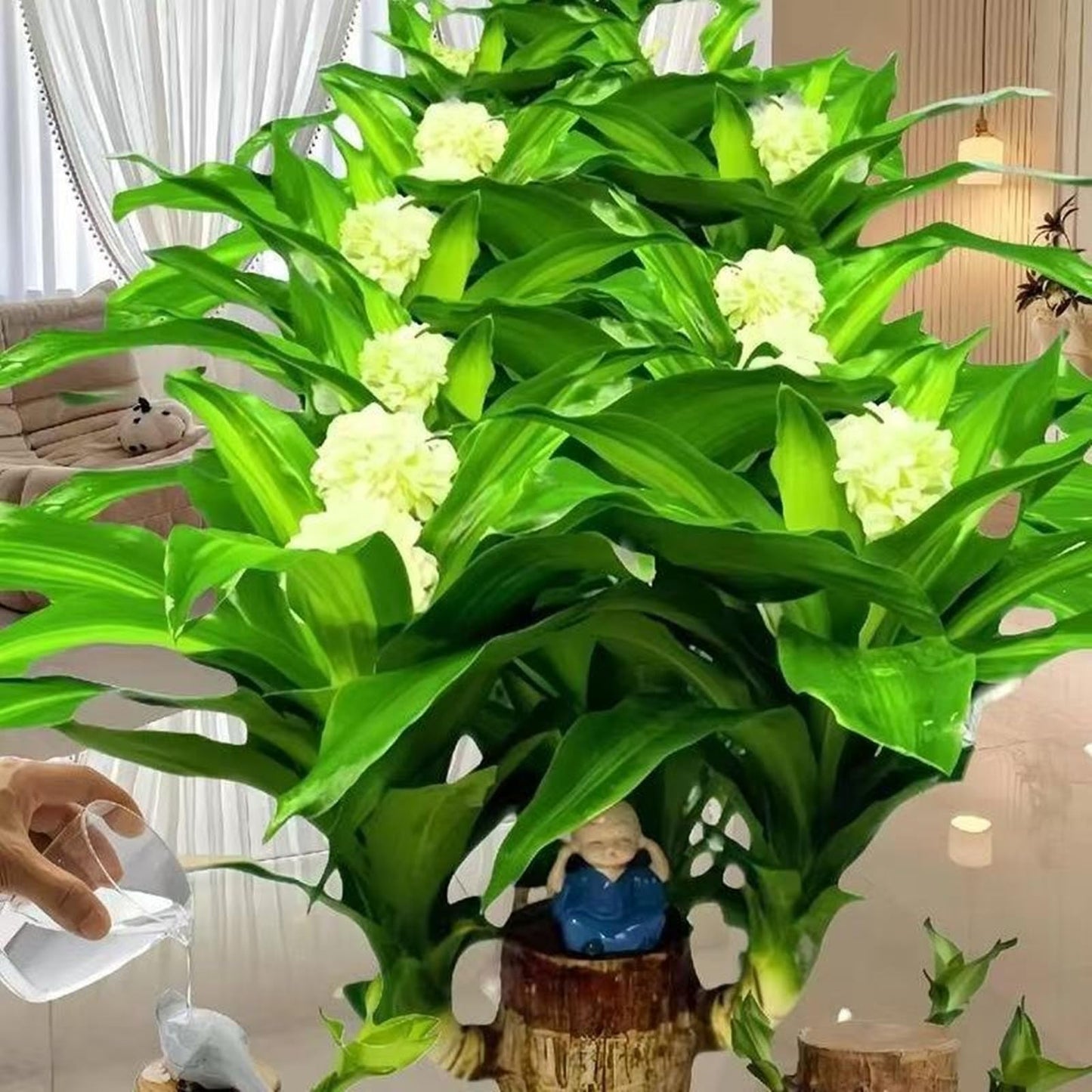 Brazilian Lucky Wood Plant Kit, Lucky Wood Doesn't Need to Wait to Sprout, Suitable for Home Office Desk Decor, Natural Air Cleaner (2L)