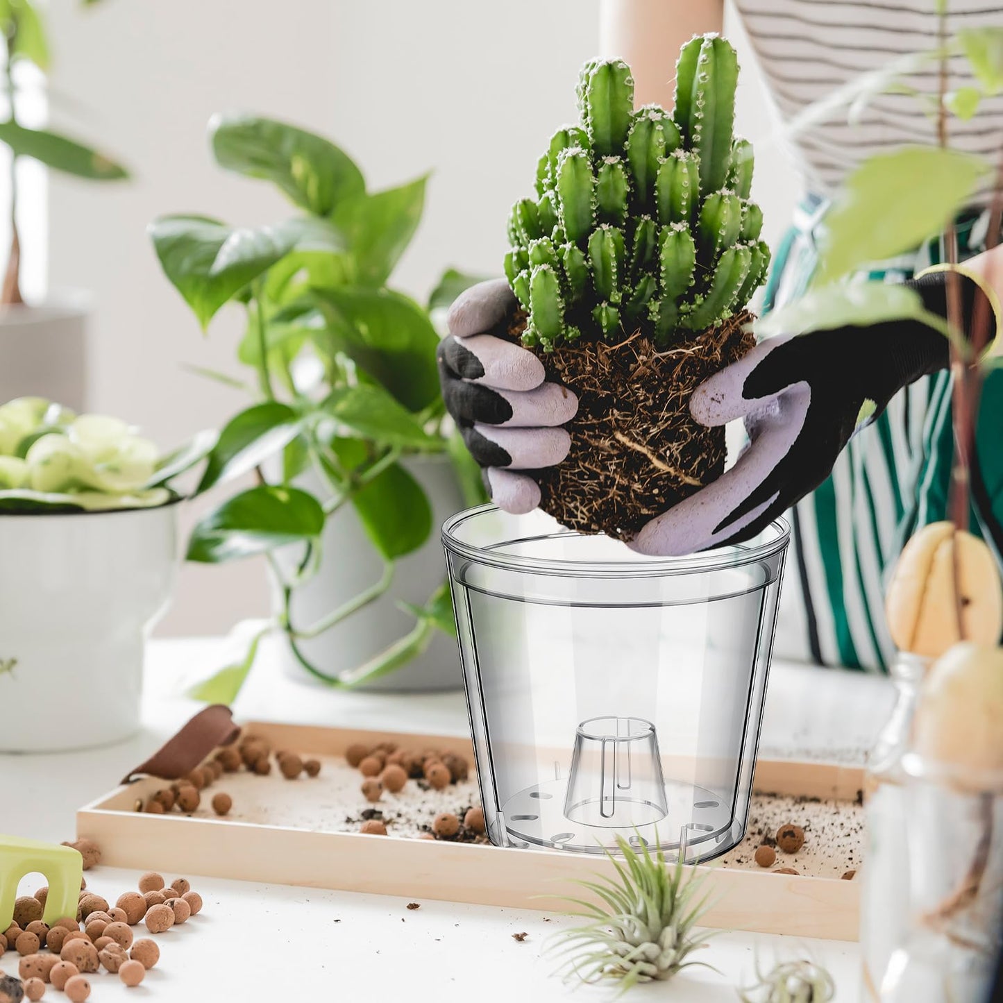 Baderke 1 Set 4.5 Inch Clear Self Watering Planter with Transparent Inner Pot Acrylic Orchid Pot African Violet with Drainage Holes Bottom Watering Transparent Containers for Indoor Plants Herbs