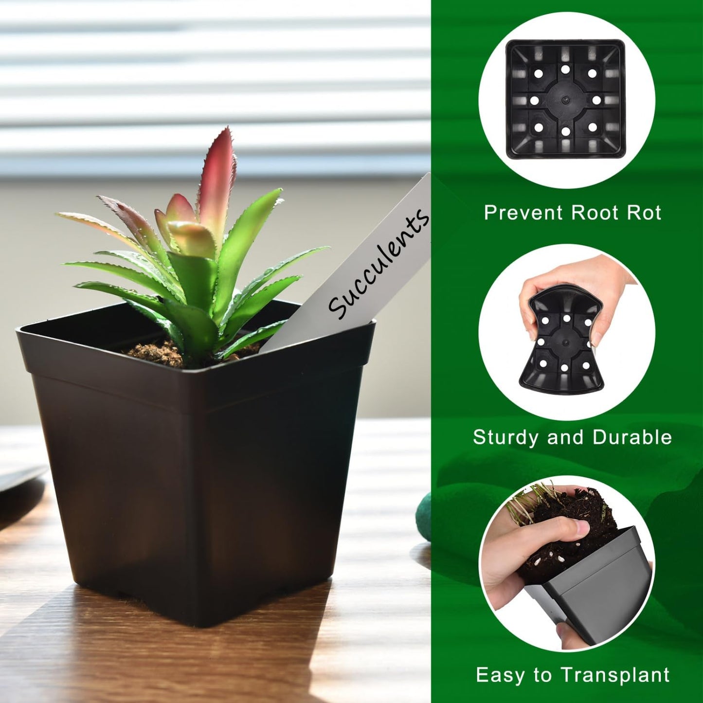 June Fox 60 Pcs Square Nursery Pots for Plants, 5 Pcs Seed Starter Tray Kit, 3.3 Inch Small Seedling Pots with Drain Holes, 60 Plant Labels (Black)