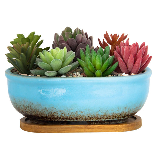 ARTKETTY Succulent Pots, 7.9 Inch Large Succulent Planters with Drainage Tray, Shallow Planters for Indoor Plants Ceramic Cactus Pots Glazed Bonsai Flower Plant Container for Home Windowsill Decor