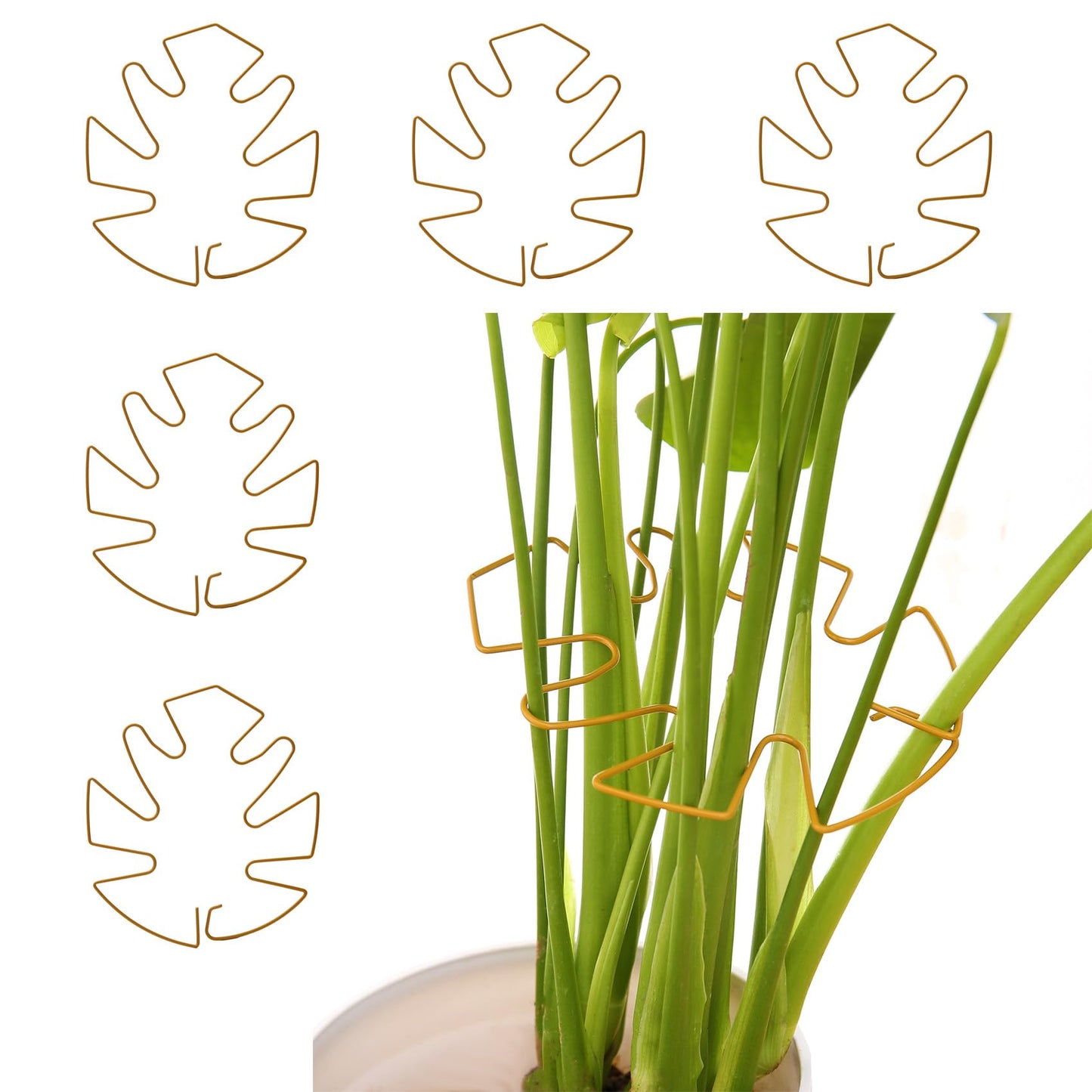 Spiritlele 5 Pcs Yellow Plant Stem Support Holder Set Monstera Plant Support Clamp Growth Accessories for Indoor Plants Big