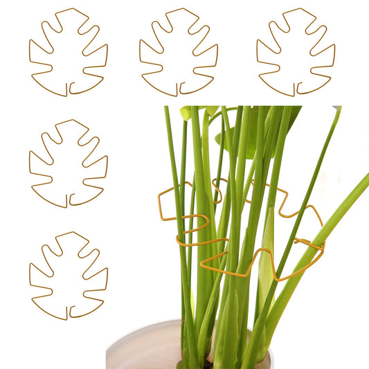 Spiritlele 5 Pcs Golden Plant Stem Support Holder Set Monstera Plant Support Clamp Growth Accessories for Indoor Plants Small