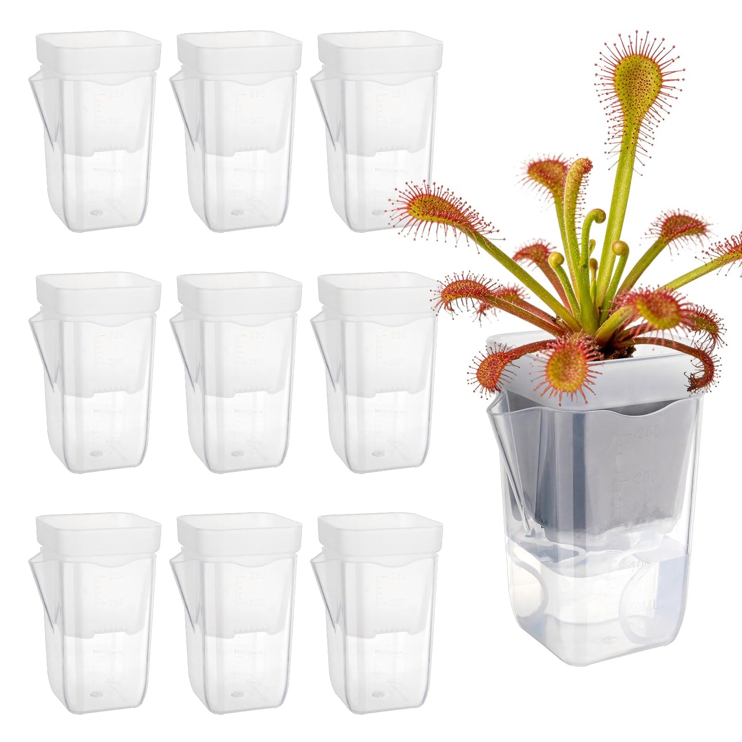 10 Pack 2.5 Inch Small Self Watering Pots for Indoor Plants Mini Clear Plastic Planters, Self Watering Pot for Propagation Cuttings Seedlings, Herbs, Succulents, Pothos Spider Plants