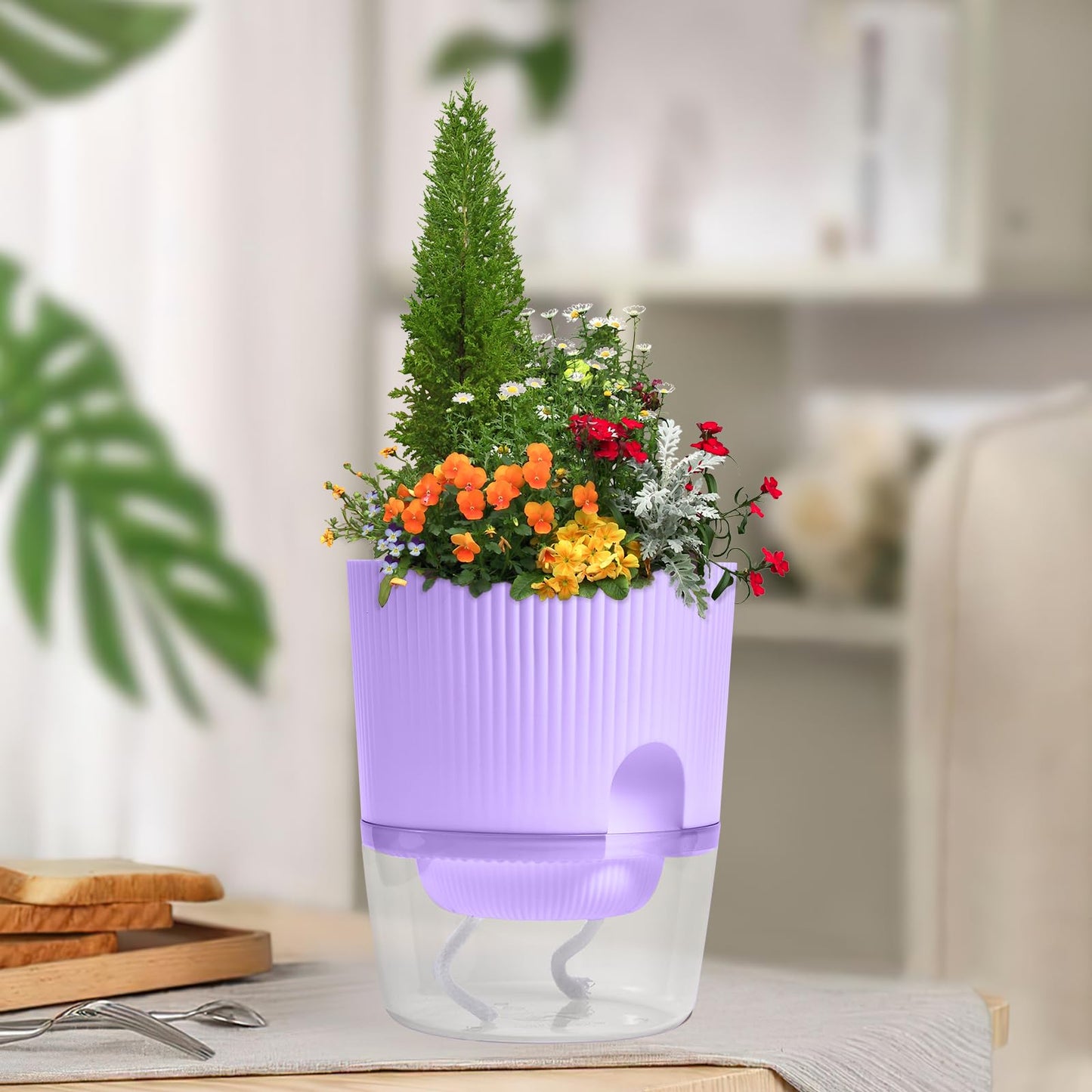 Eurysman 3 Pack - 5.5 Inch Self Watering Planter Pots for Indoor Plants - African Violet Pots with Wick Rope - Purple
