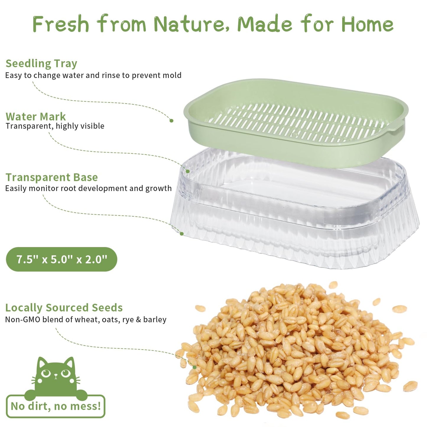 Cat Grass for Indoor Cats with 5 Pack Non GMO Wheat Seeds, Organic Grass Growing Kit, Soil-Free Planter, Perfect for Beginners, Cat Friendly Plants, Ideal Birthday Gift for Cat Lovers