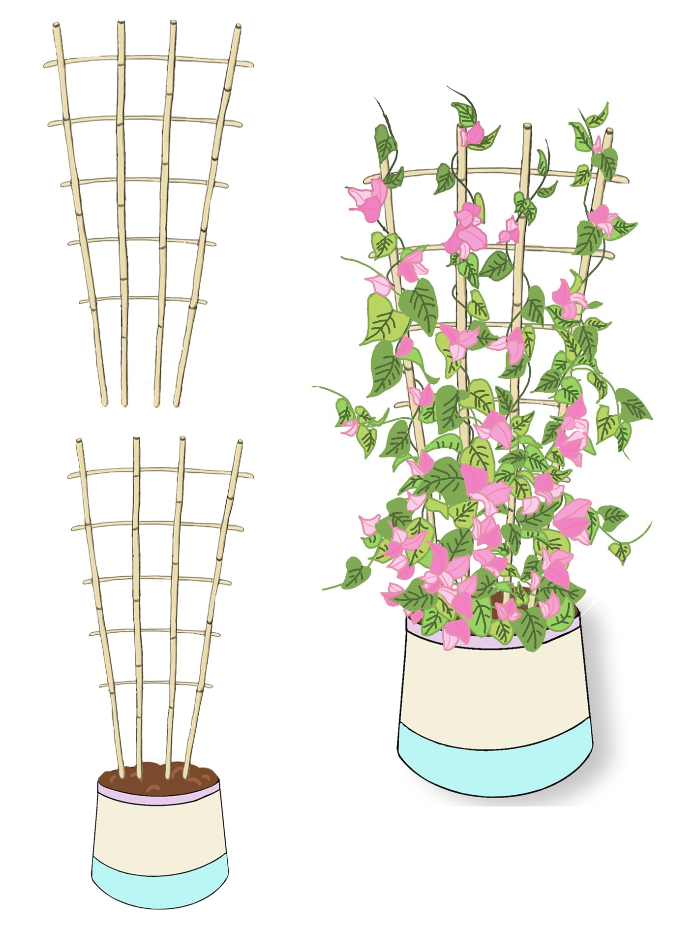 Natural Bamboo Trellis, 3Feet,3Pack,Fan-Shaped Plant Support Trellis for Outdoor and Indoor Potted Climbing Plants,Vegetables, Cucumber, Tomato, Hoya,