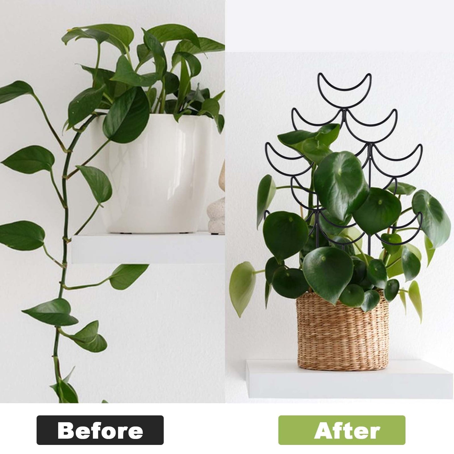 Yhtpouqe 4 Pack Metal Plant Trellis for Climbing Plants Outdoor/Indoor - Sturdy Garden Trellis for Potted Plants, Rustproof Plant Suppor Stakes for Vine Ivy Pothos Monstera Hoya Flowers