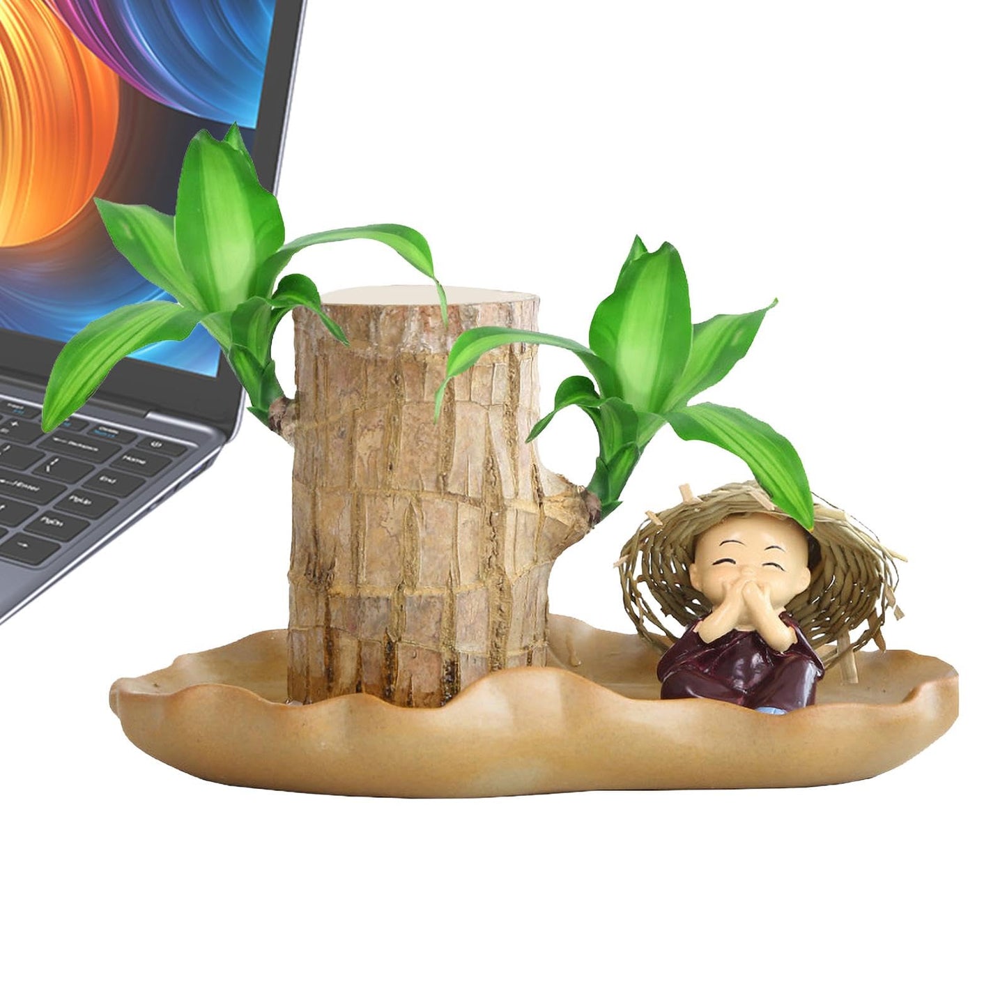 Brazilian Wood Plant, Brazilian Lucky Wood Plant with Pot, Brazilian Wood Hydroponic Plant for Purifying Indoor Air, Brazilian Wood Tree Stump, Brazil Lucky Wood Plant for Indoor Offic-e Desktop Decor