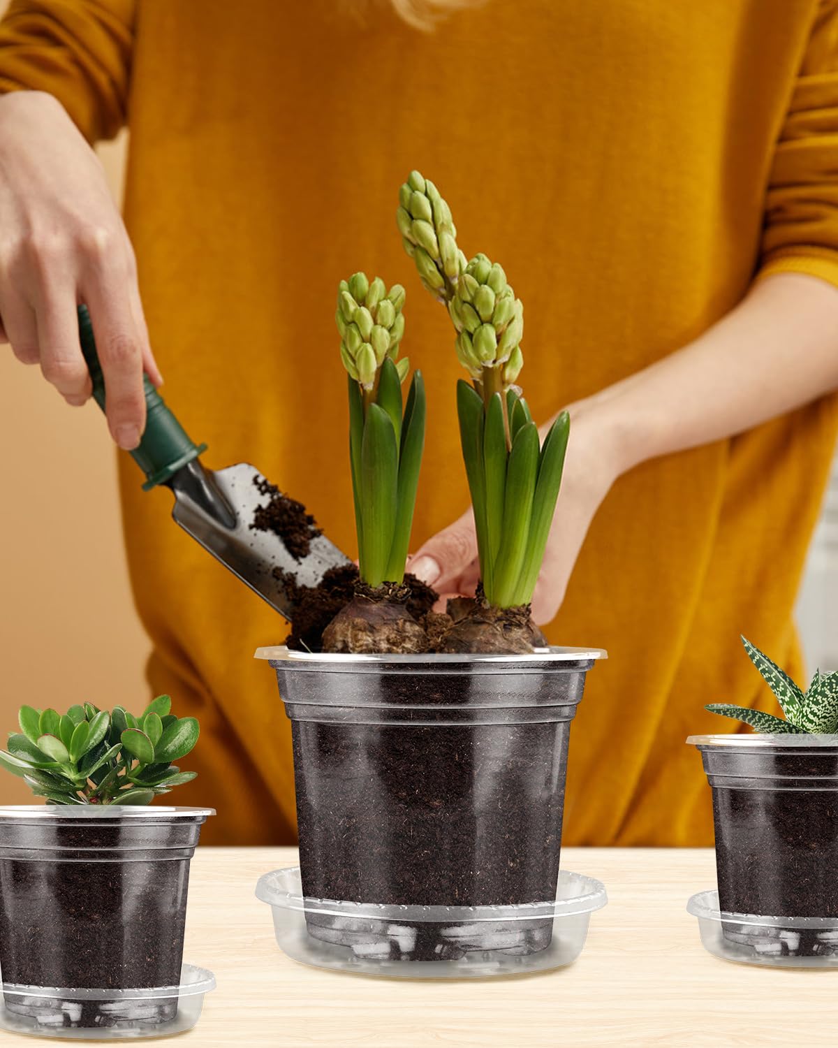 PACETAP 20Pack 6.5/5/4 Inch Reinforced Clear Nursery Pots with 20Pack Sacuers, Thickened Plastic Plant Pots with Drainage Holes, Transparent Plants Seed Starter Pot for Indoor Outdoor Garden