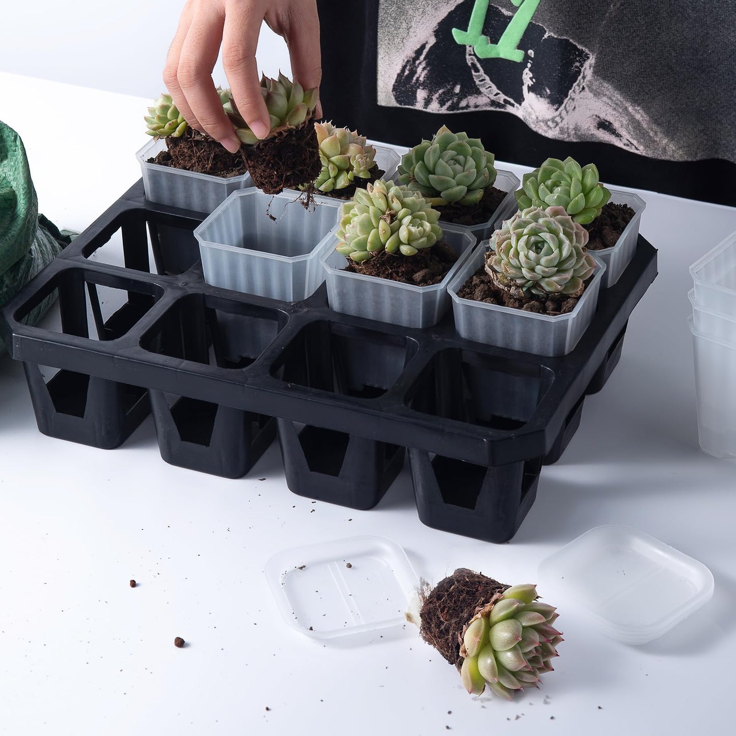 foxany 3 Inch Clear Nursery Pots, 30 Pcs Thick Plastic Plant Pot, Square Flower Planting Pots Variety Pack, Seedling Planter Starter Pots with Saucers for Garden