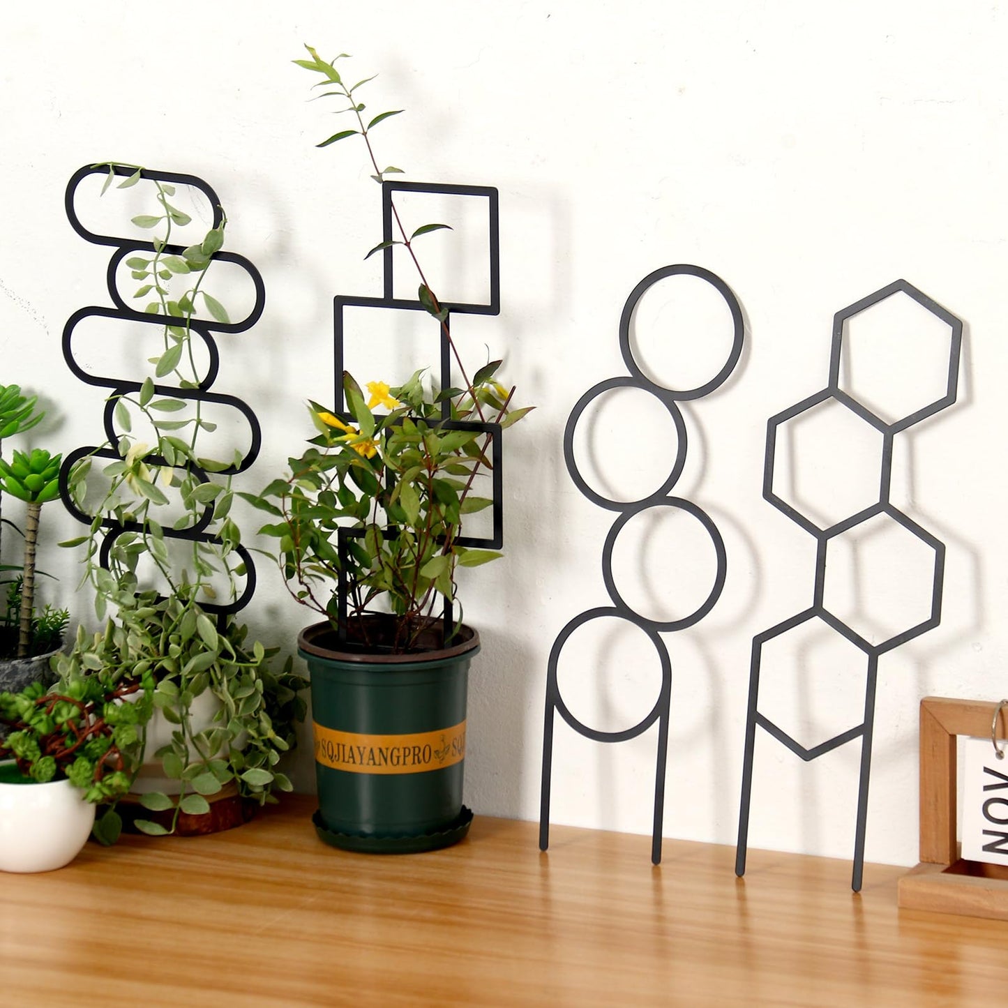 KOYILTD 4 Pcs Trellises for Climbing Plants Indoor Metal Climbing Plant Support Metal Plant Trellis for Pots Garden Trellis for Climbing Plants for Plant Lovers (Style 1)