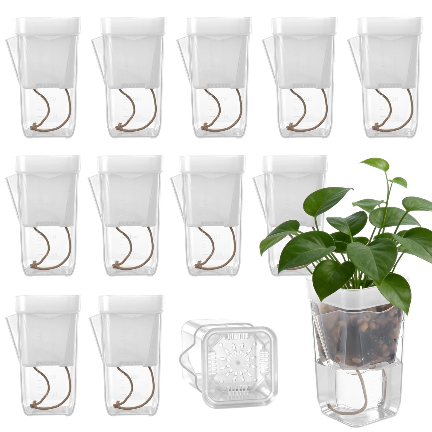ZALIR 12 Pack Small Self Watering Pots Set, Mini Transparent Plastic Planters, Semi-Hydro Pots, 2.6 in Hydroponic Pots for Succulents, Seedlings, Herbs, Flowers