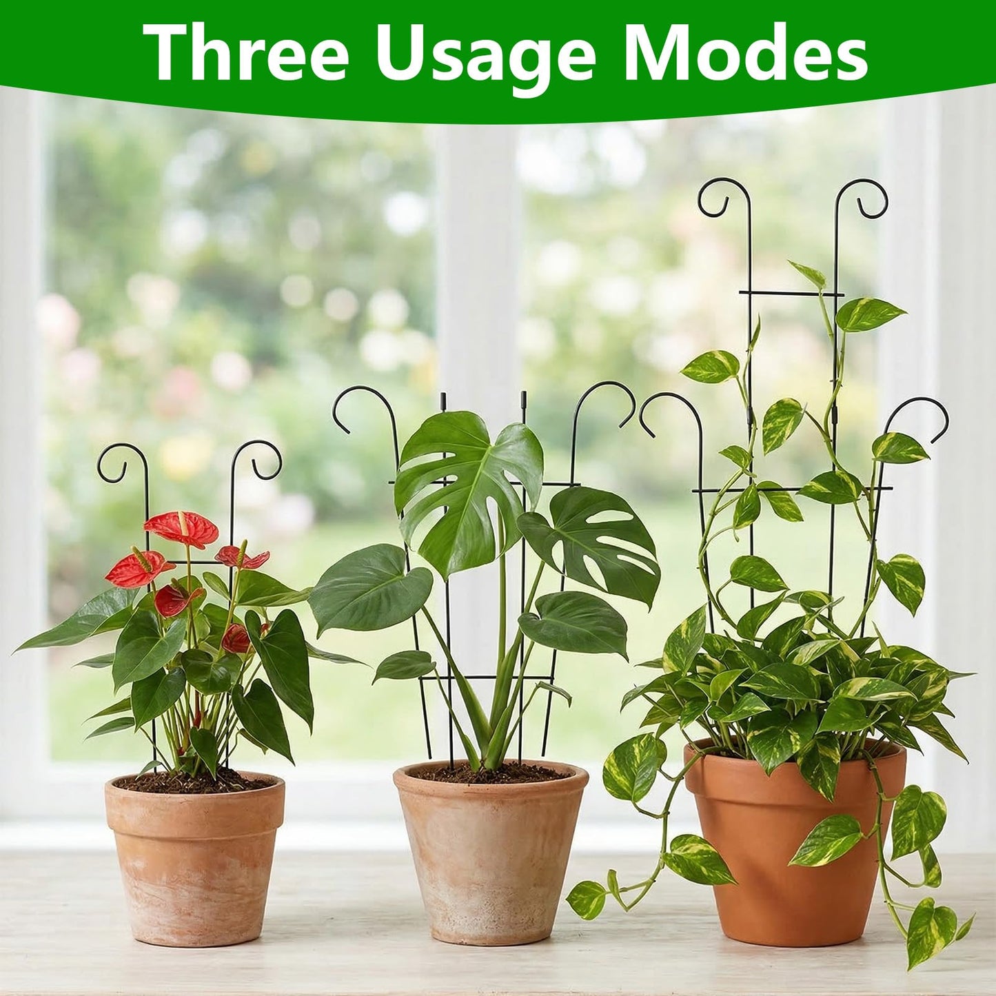 FgTnYh 2pcs Plant Trellis Vine Plant Support Assembled and Rustproof for Pothos Hoya Ivy Monstera Flower for Garden Potted Plant Indoor Outdoor 24.7inch