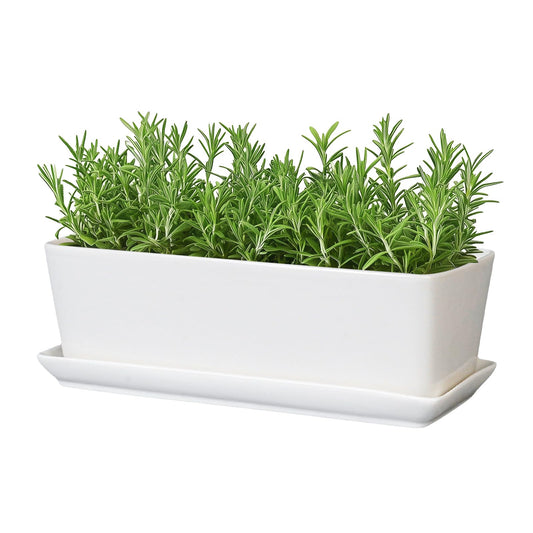 SQOWL Rectangular Planter - 10 Inch Ceramic Pots for Plants with Drainage Hole and Saucer, Succulent Pots for Indoor Outdoor, Cactus Herb Planter, Home Decor, Gifts for Plant Lovers, Glossy White