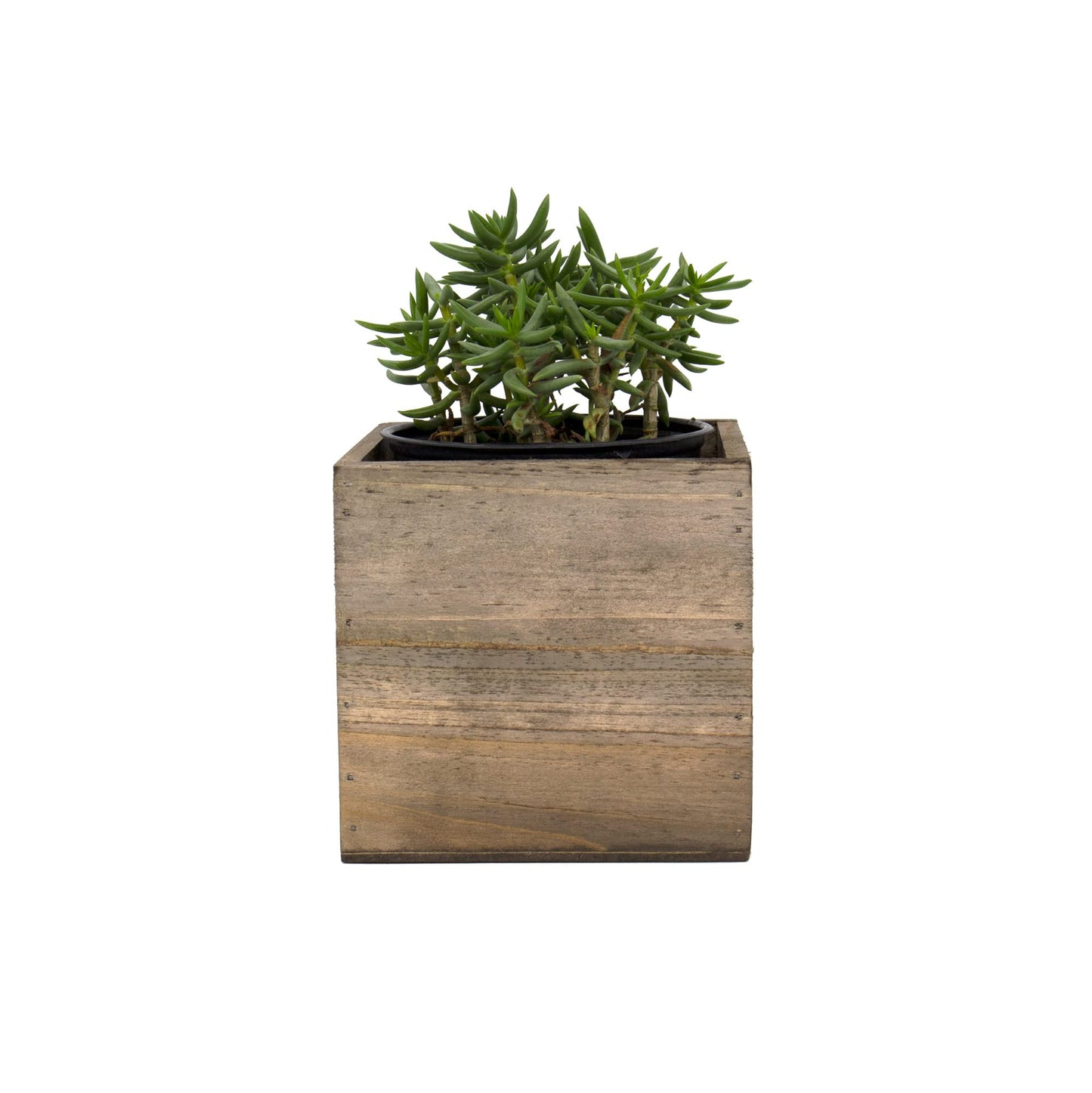 CYS EXCEL Cube Planter Box with Removable Plastic Liner (5"x5"x5")(4 PCS) | Multiple Size Choices Wood Square Planter | Indoor Decorative Window Box