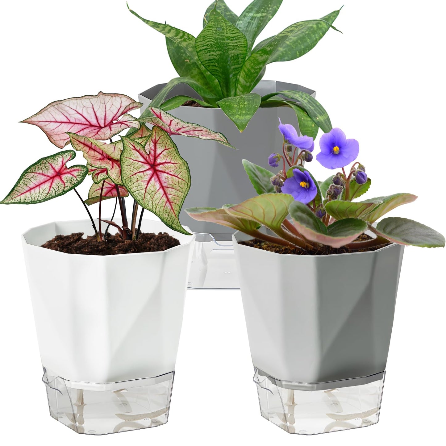 Samhe 3 Pack Self Watering Planter Pots, 4.9 Inch African Violet Pots for Indoor Outdoor Windowsill Gardens, Plant Pot with Wick Rope and Reservoir