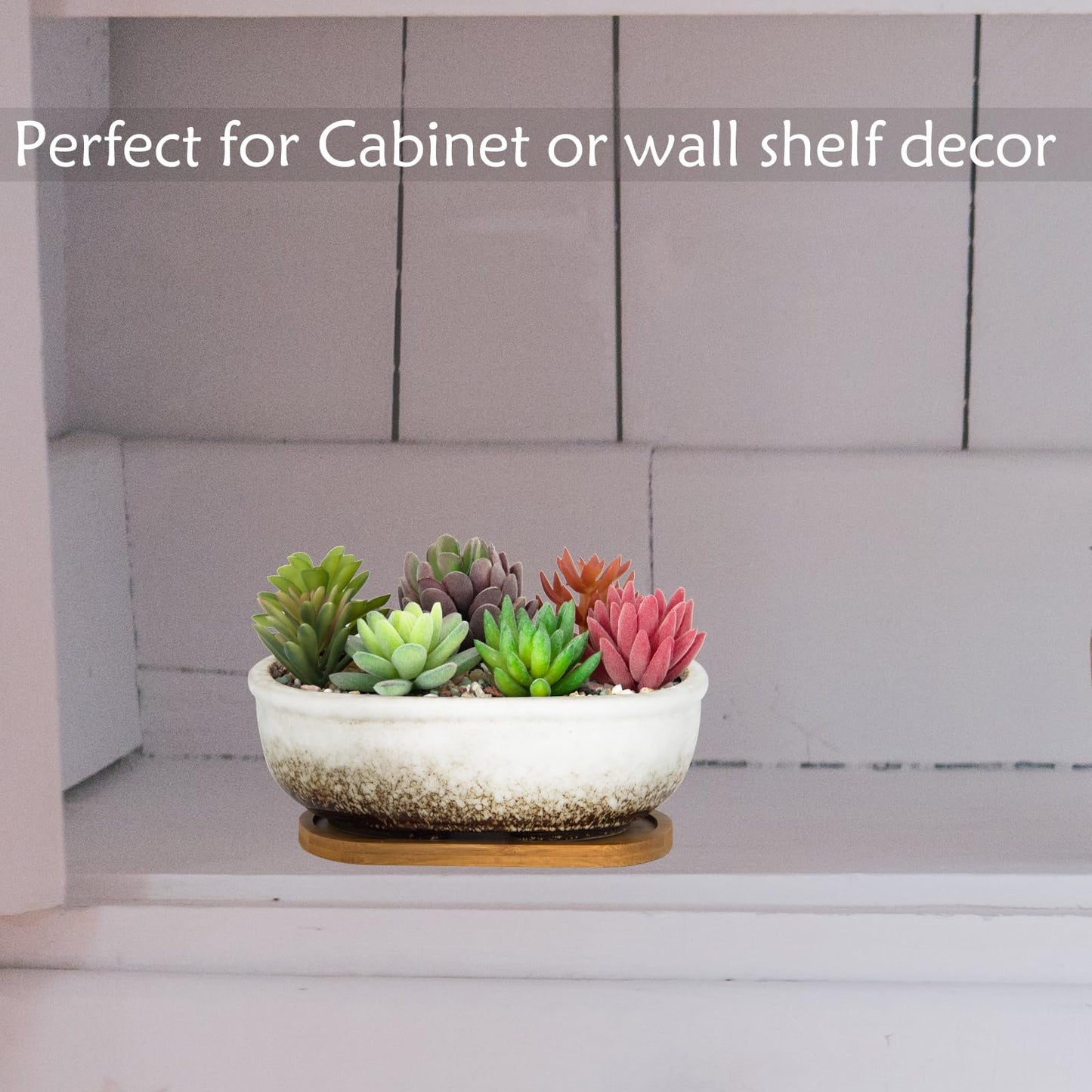 ARTKETTY Succulent Pots, 7.9'' Large Ceramic Pots for Indoor Cactus Plants, Shallow Succulent Planters with Drainage Tray, Oval Bonsai Plant Container Bowl Garden Home Windowsill Decor