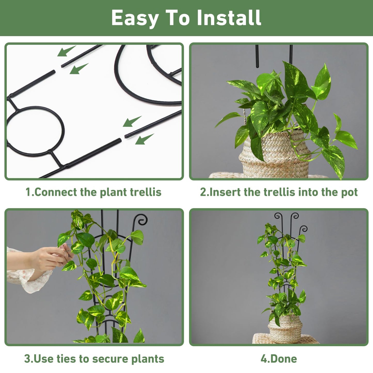 6(Six) Plant Trellis for Climbing Plants Indoor, 2(Two) Expandable Large Metal Trellis for Potted Plants and 4(Four) Trellis for Potted Plants