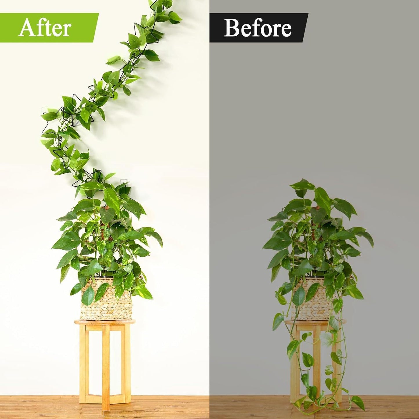 Elfzone Chain Trellis - 18 Pcs Chain Trellis for Climbing Plants Indoor, Potted Houseplant Accessories for Hoya, Ivy, Monstera, Stars DIY Wall Plant Support with Hooks