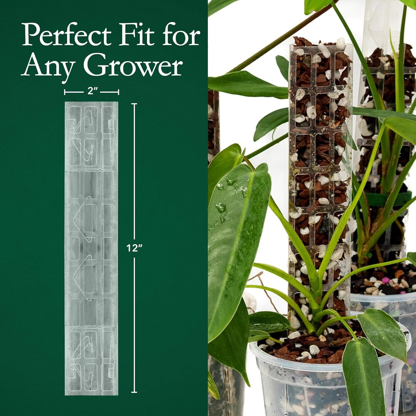 THICCLY V3 GrowPole Small 20 Pcs - Front Opening Plastic Moss Poles for Climbing Plants, D-Shaped Moss Pole for Monstera Plant Support Plant Climbing Pole, Plastic Plant Pole Support for Philodendron
