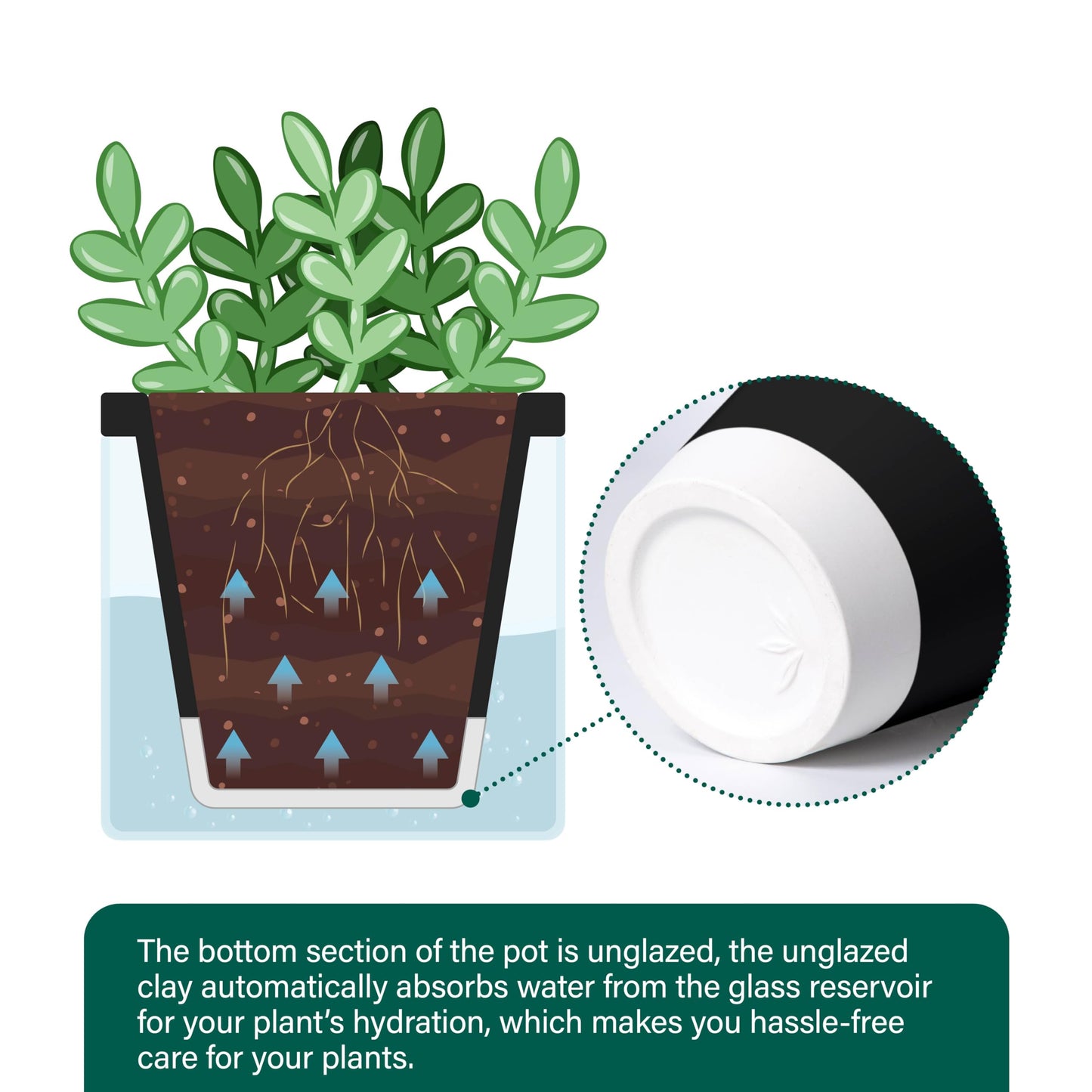 D'vine Dev 4 Inch Design Self Watering Planter for Indoor Plants, Black Terracotta Pot with Cylinder Glass Cup, Set of 4, 37-Z-A-3-F