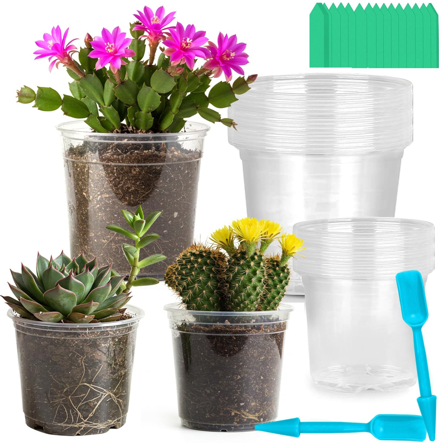 Clear Nursery Pots for Plants, 3.7/5 Inch Plastic Seedling Pots with Drainage Holes – Flexible Transparent Planters for Indoor & Outdoor Gardening, Includes 40 Plant Labels & 2 Transplant Tools