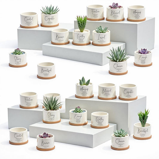 Fumete 24 Set Christian Religious Gifts Bulk Bible Verse Succulent Pots with Tray Drainage, 12 Scripture Quote, 3 x 2 in Mini Ceramic Flower Planter for Mothers Fathers Day Church Gift (Affirmation)