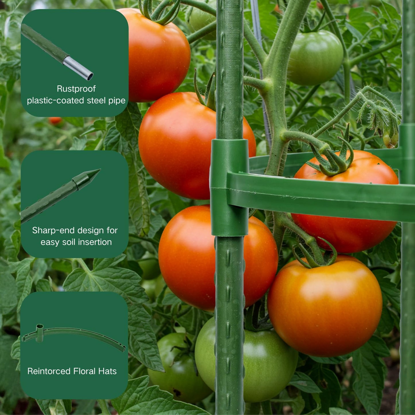 Wikdey Tomato Cages for Garden&Pots, 4 Pack 50" Plant Support Trellis for Tomatoes, Cucumbers, Beans | Heavy-Duty Steel with Rust-Proof Coating | Garden Stakes for Outdoor Indoor Plants