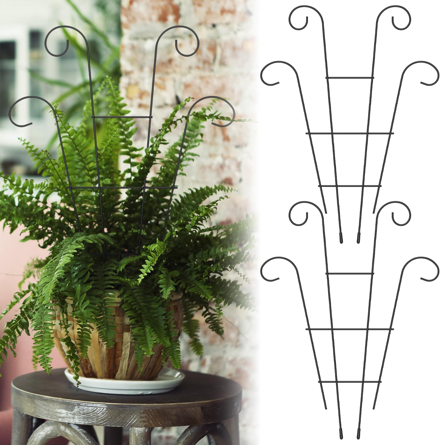 XYDHQS 2Pcs Trellis for Potted Plants, Indoor Outdoor Rustproof Garden Trellis, Strong Load Bearing, Iron Sturdy Houseplants Climbing and Creeping Support for Garden Courtyard Balcony