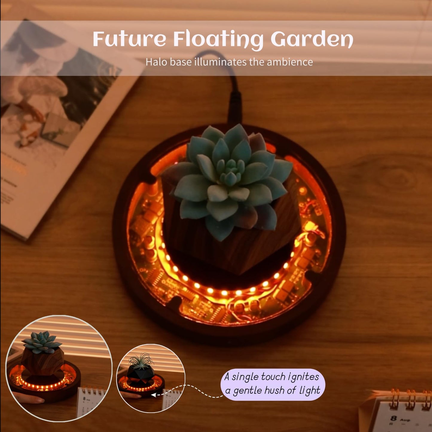 MOOCCI Levitating Plant Pot with Light, Magnetic Floating Flower Pot with Rotating and Auto-Spinning, Brown Wood Grain Planter for Succulents, Cool Desk Decor for Home Office, Unique Gift Idea