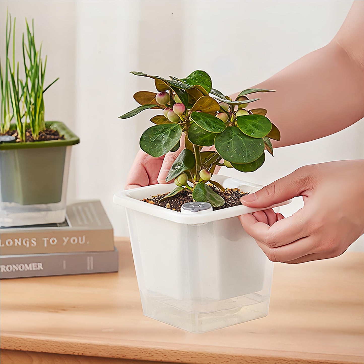 FAMZ Self Watering Pots for Indoor Plants 3 Pack，Clear Plant Pots with Drainage for African Violet、 Orchid、Succulent Plants Square Plant Pots（White 5.12"）