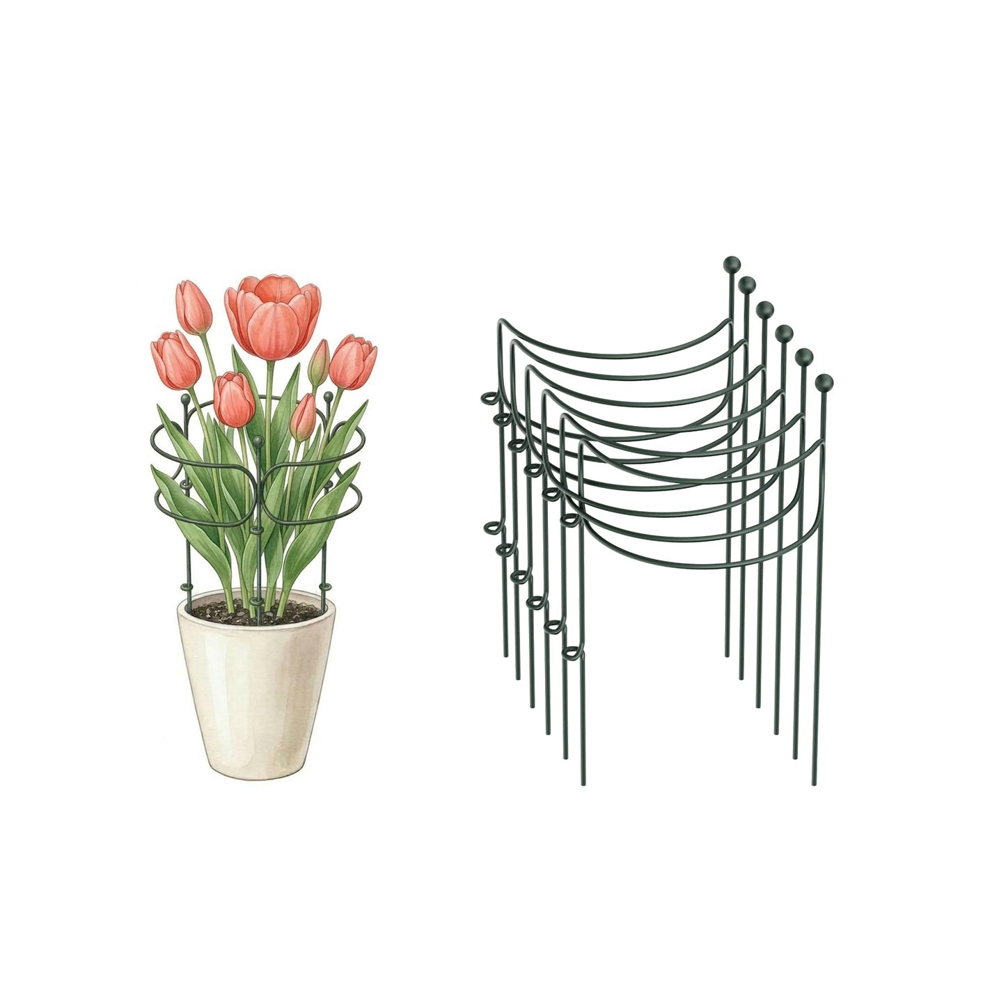6 Pack Curved Plant Support Stakes, Dual Half Round Metal Garden Plant Stake, Peony Cages and Supports, 10"(W) x 20" (H) Flower Support Ring for Peonies, Hydrangea