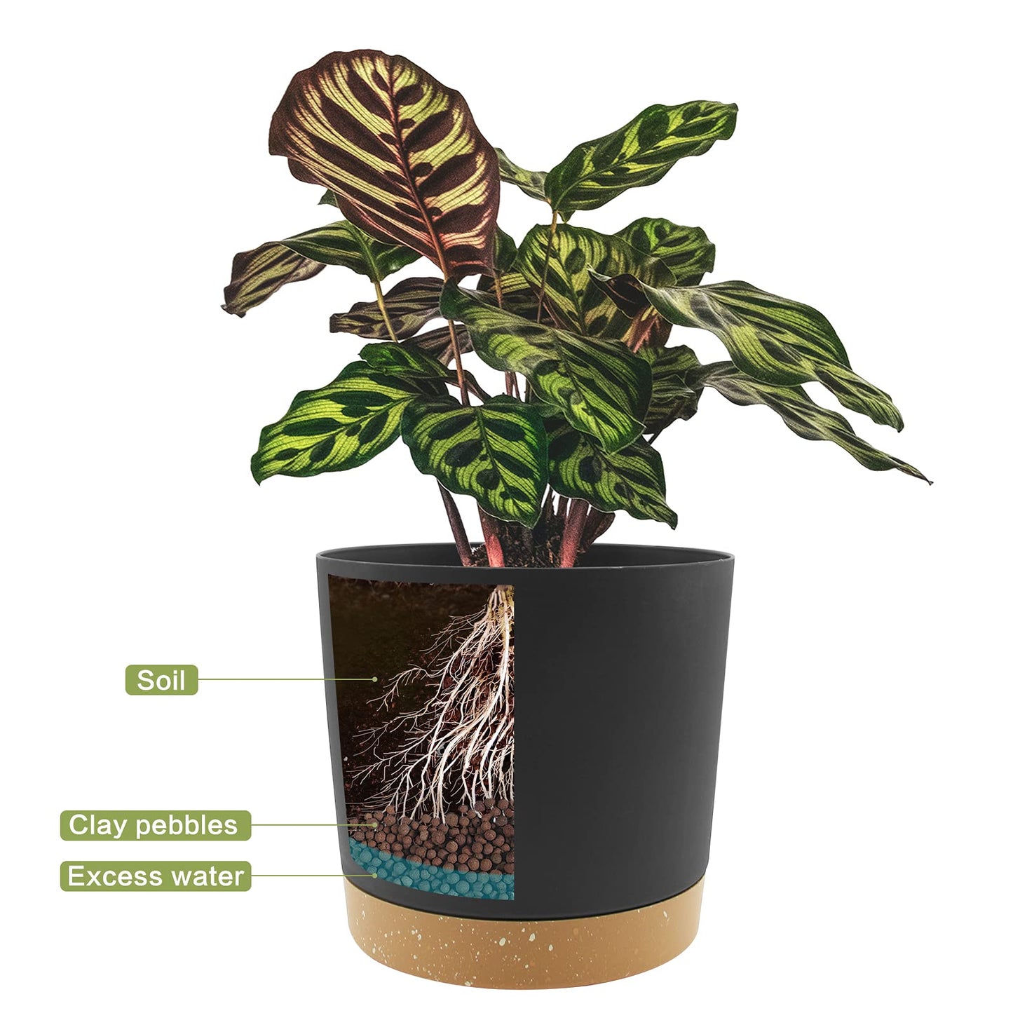QCQHDU 8 inch Plant Pot, 2 Pack Planters for Indoor Plants with Drainage Holes & Saucer, Outdoor Flower Pots Home Garden Modern Decor