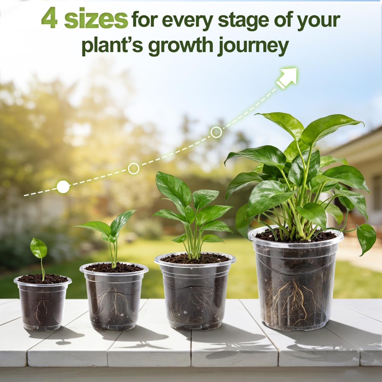CINKSY 36 Pack Clear Plant Nursery Pots, 7/5/4/3.5 Inch Plastic Planter Pots with Drainage Hole, Flower Seedling Nursery Pots with 20 Labels for Garden Indoor Outdoor