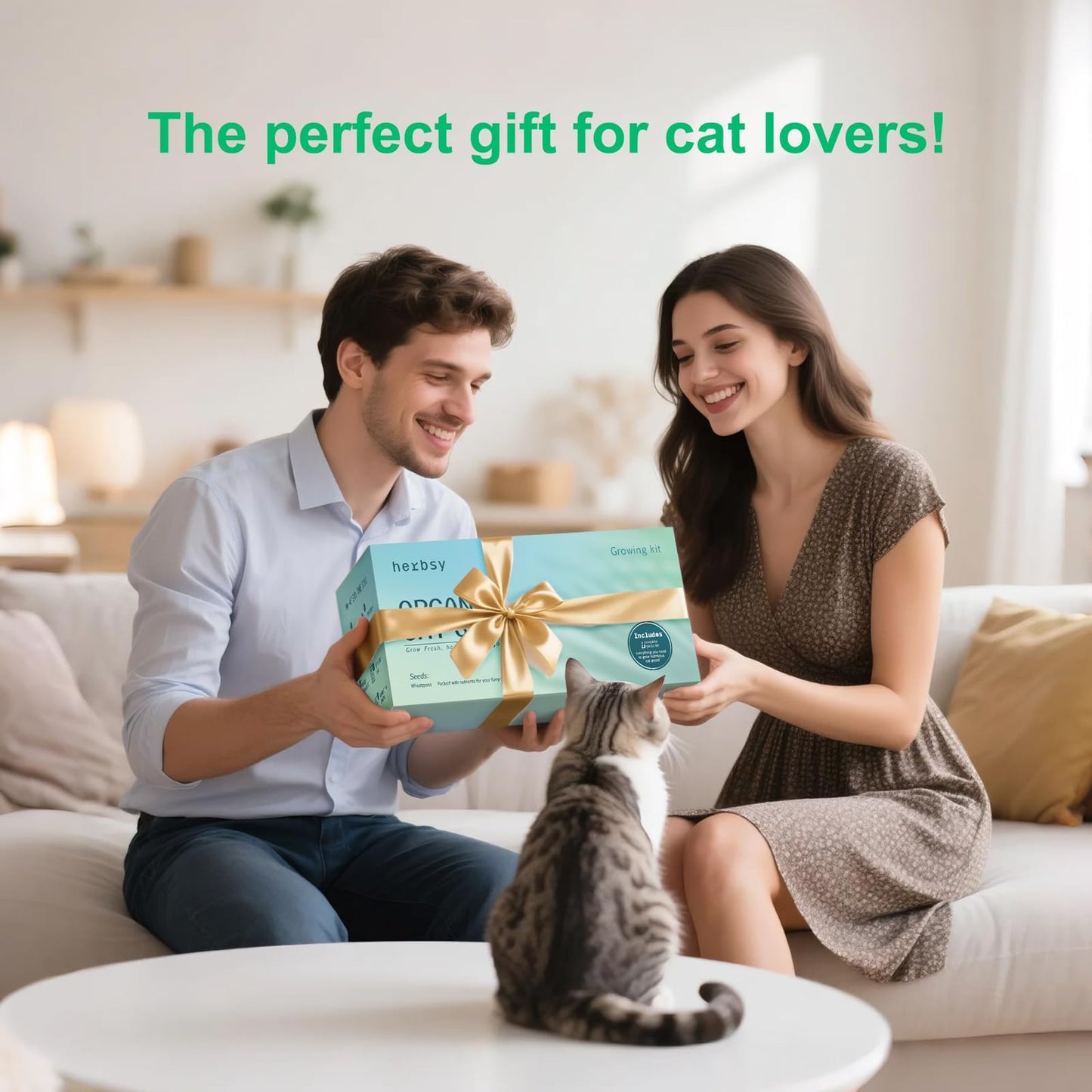 Cat Grass Kit for Indoor Cats, x5 Seed Packs, Complete with Exquisite Wood Planter Soil & Mini Gardening Tools, Good for Pet, Prevents Hairballs, Aids Digestion, Special Gifts for Cat Lovers