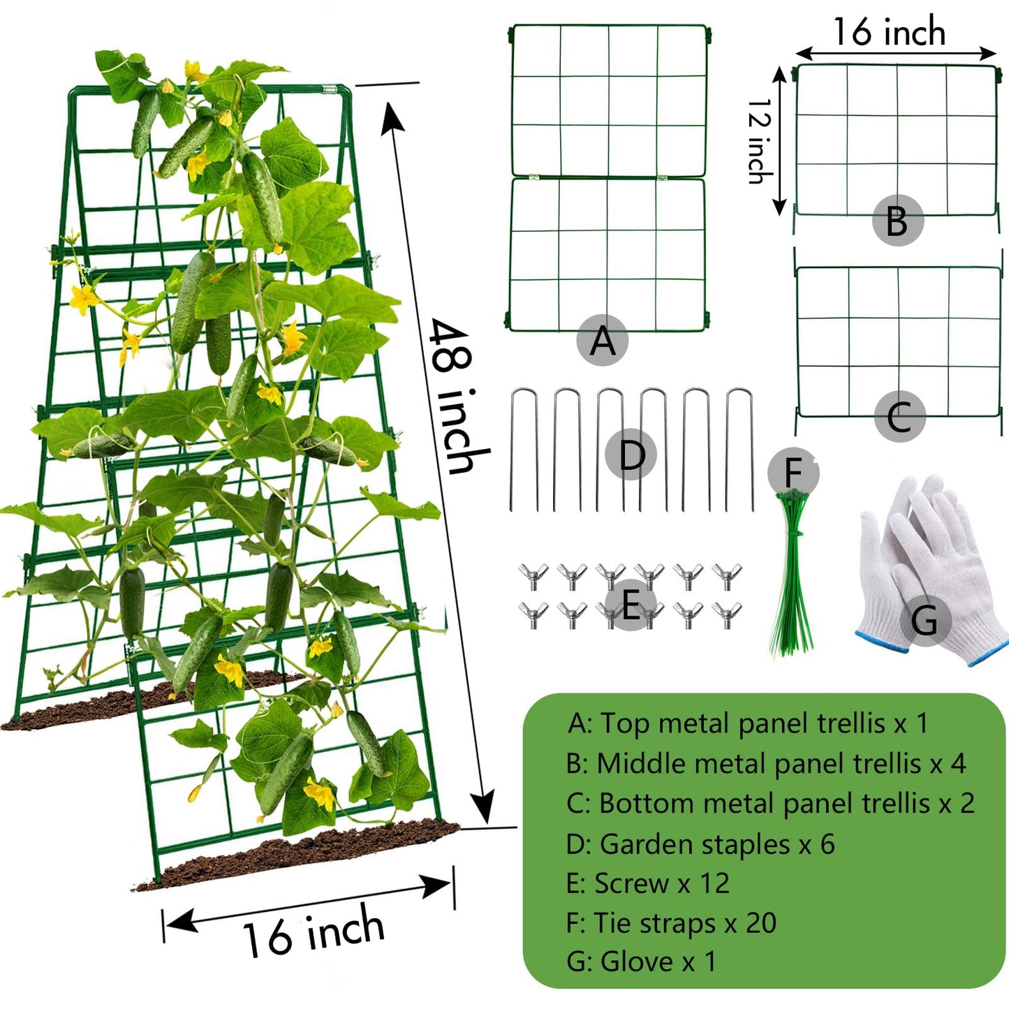 Thickened Cucumber Trellis for Raised Garden Bed,48"x16" Foldable Frame Metal Vegetable Trellis for Climbing Plants Outdoor Plant Support for Grape Tomato Peas, Fruit, Vine,Bean(Green) (2)