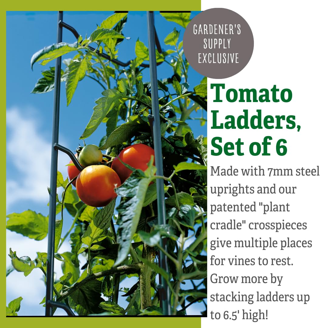 Stacking Tomato Ladder Stakes (Green)