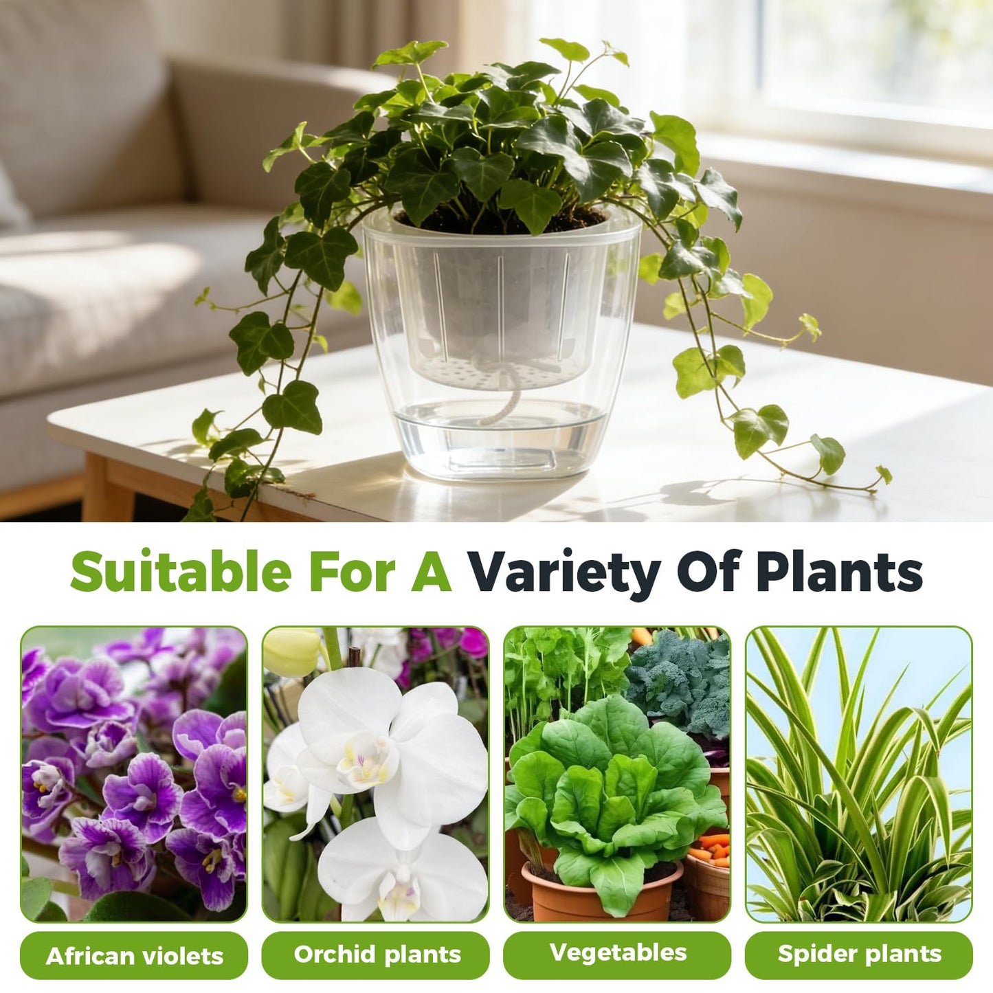 3-Pack Clear Self Watering Planters for Indoor Plants 7" Large African Violet Plant Pots Plastic Wick Flower Pots with Water Injection Hole, Orchid Plant Pot Set, Clear