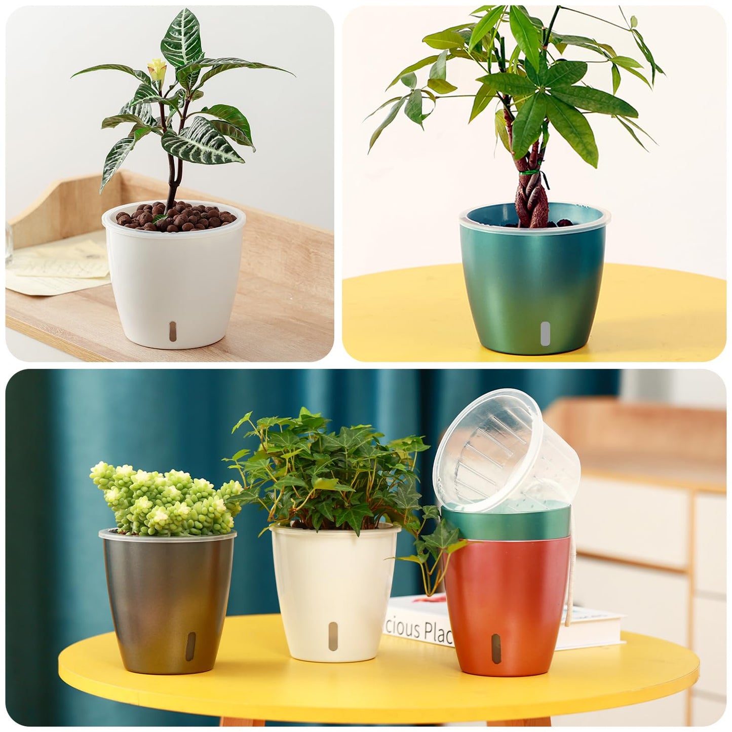 KvyusFlourish 8-Pack 5 Inch Self Watering Pots, Indoor Planter with Indicator, Transparent Wick Pot for Orchids, Small African Violet Pot, for Plants