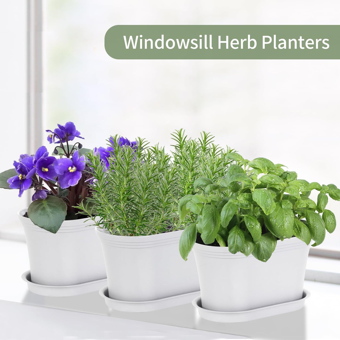 Oliz Windowsill Garden Pots, White Plastic Flower Pots with Drainage Tray for Herb, Succulents, African Violet (Pack of 6)