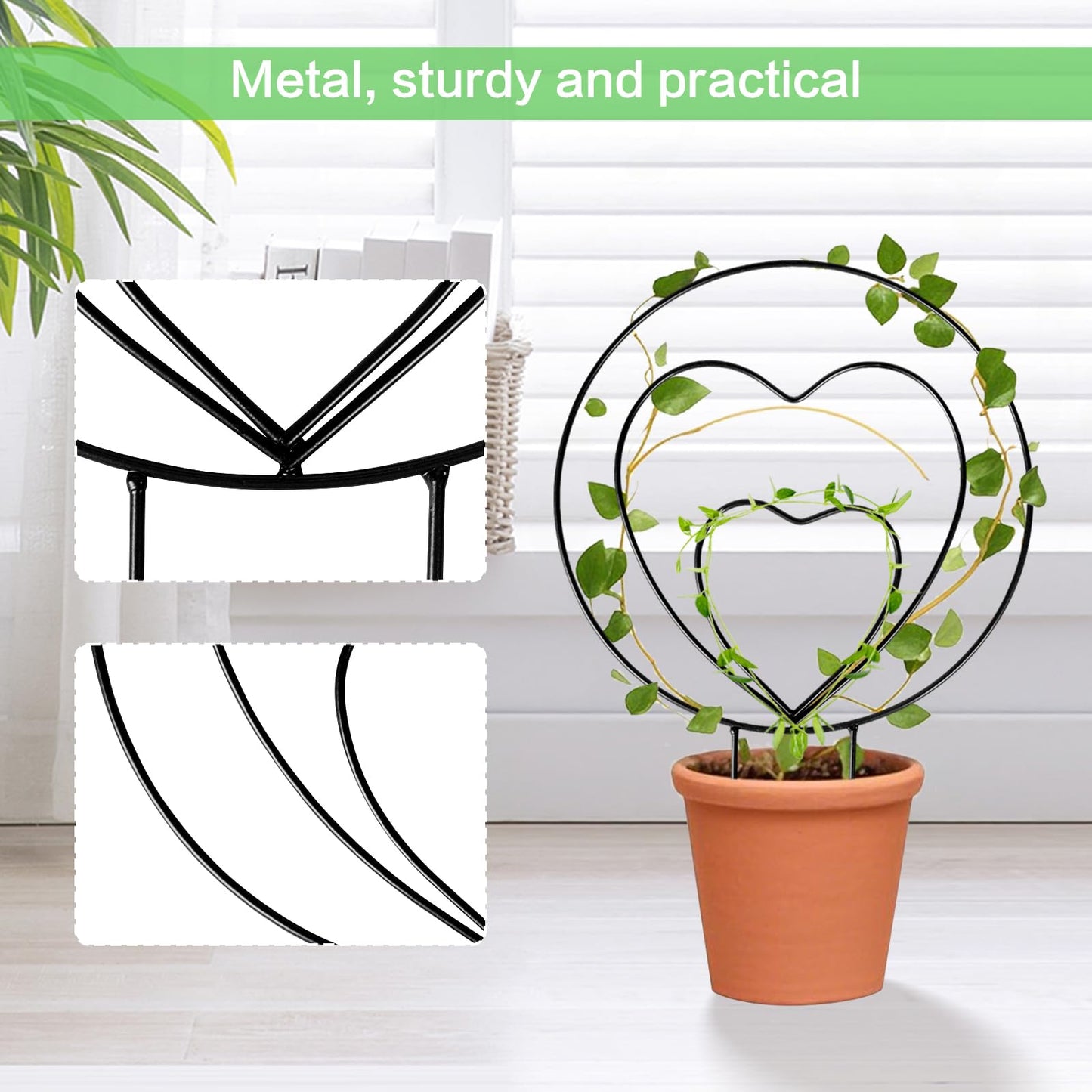 Hoya Trellis 3 Size Indoor Plants Flower Support Stakes Round or Heart Metal Trellis Set Garden Tool Accessories for Small Potted Vine Climbing Houseplants (BlackCH)