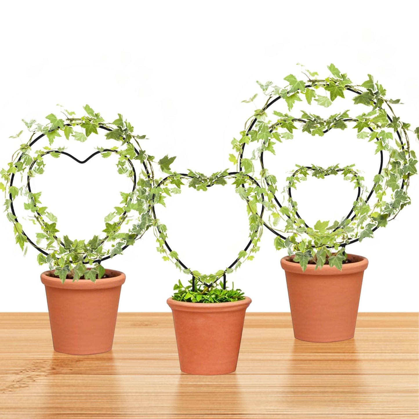 Hoya Trellis 3 Size Indoor Plants Flower Support Stakes Round or Heart Metal Trellis Set Garden Tool Accessories for Small Potted Vine Climbing Houseplants (BlackCH)