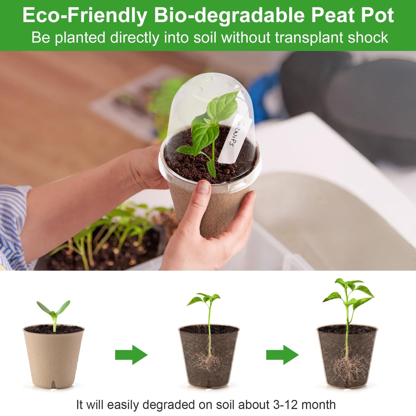 DJGINRO 50 Set 3.15 Inch Peat Pots Plant Starters for Seedling with Humidity Dome,Herb Seed Starter Pots Kits, Garden Germination Nursery Pot wit 50 Plant Labels, 2 Transplant Tools.